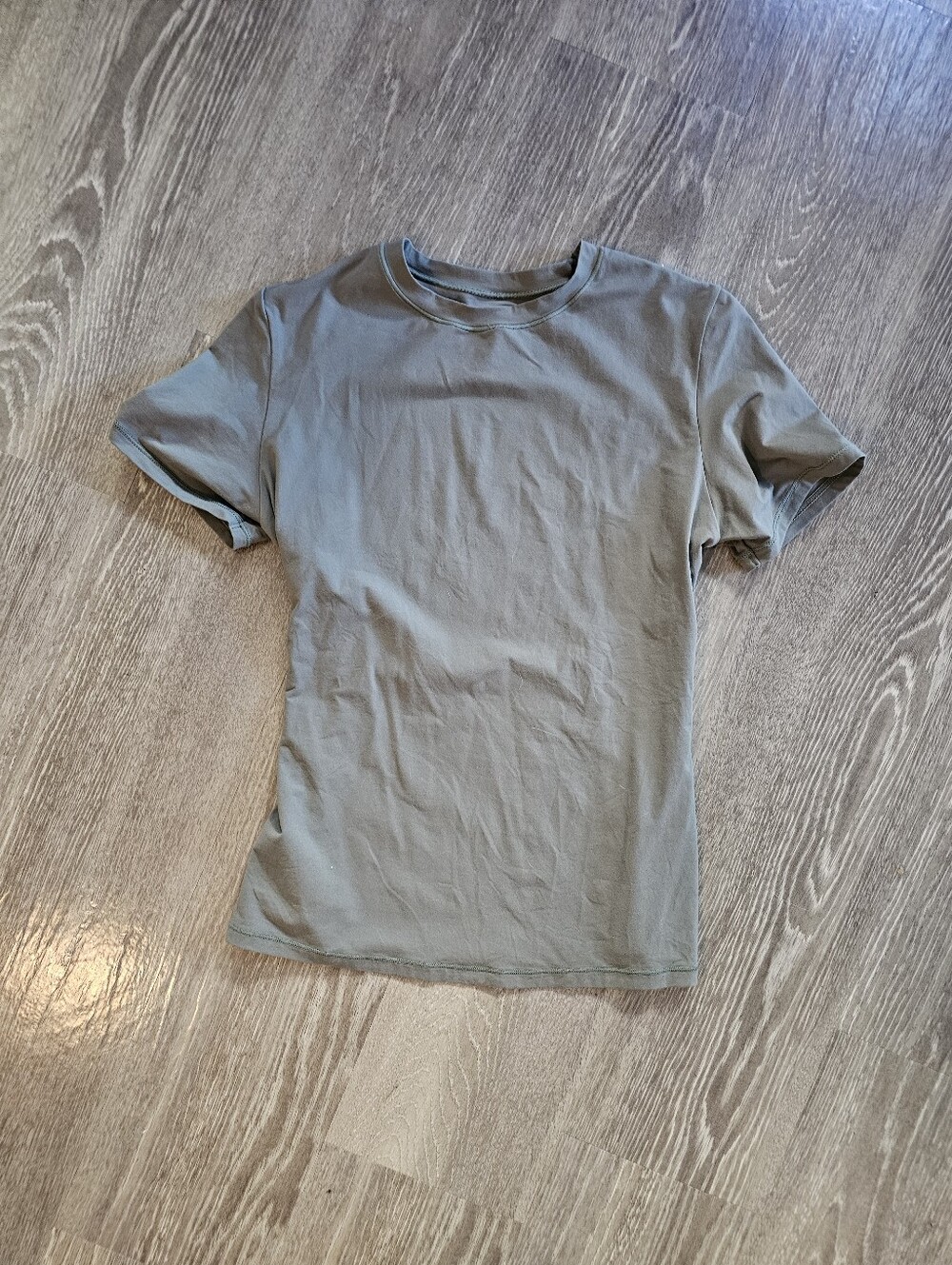 Skims Greenish Blue Grey Fits Everybody Tshirt Size Small
